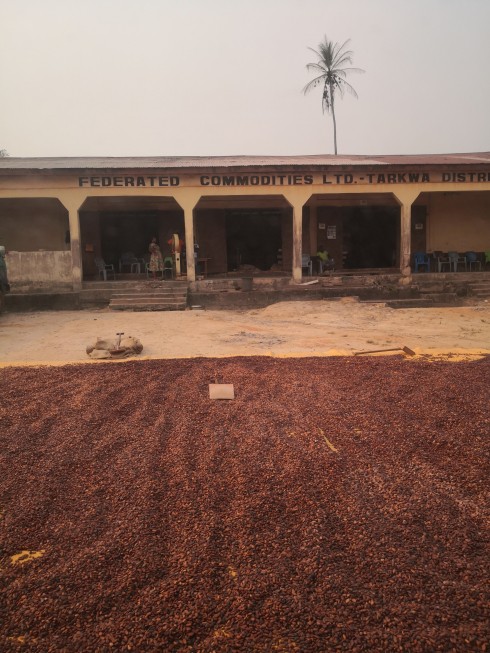 Cocoa beans drying in the sun at the Fedco warehouse in the Tarkwa district Fedco Warehouse.jpg